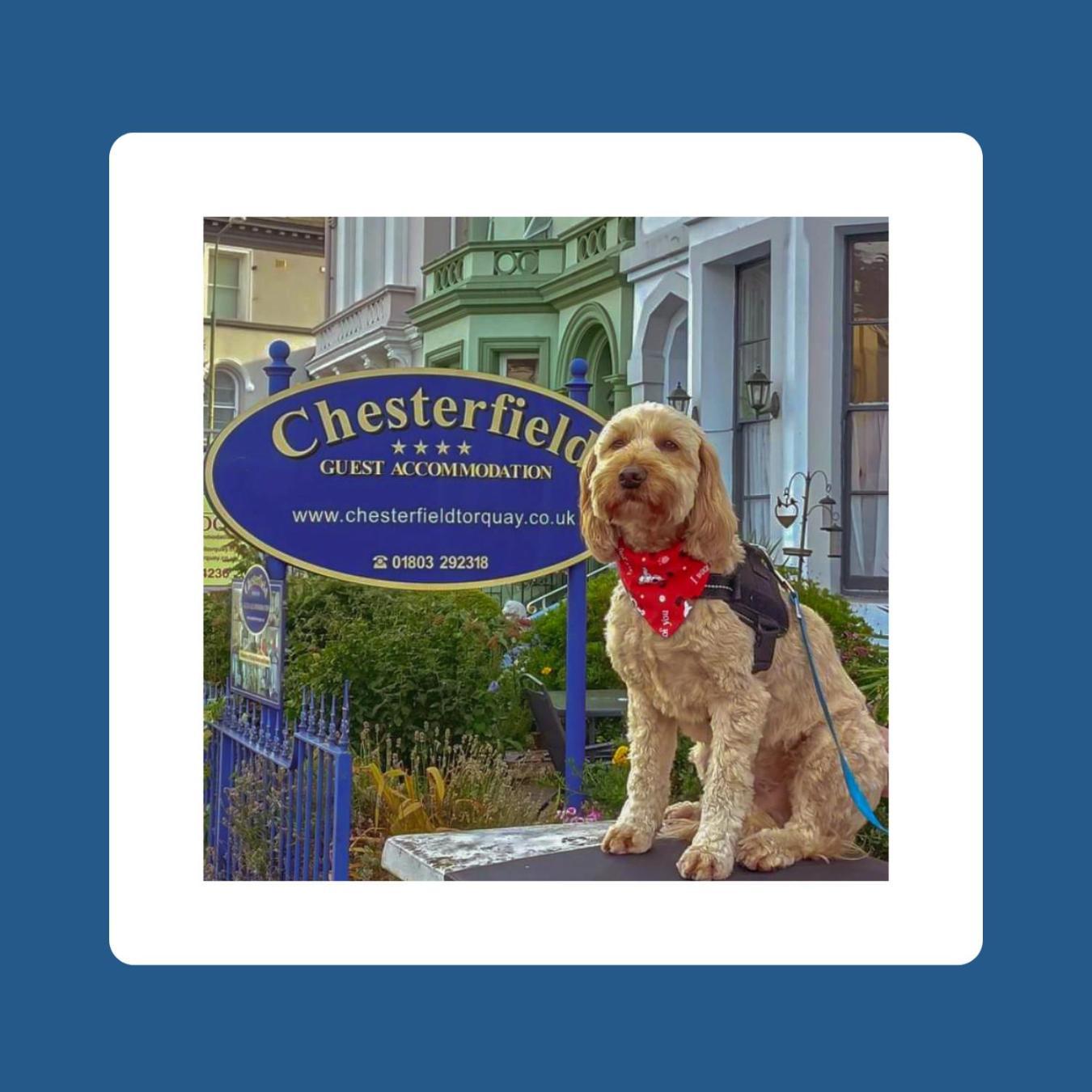 The Chesterfield, Torquay (Adults Only) Eksteriør billede
